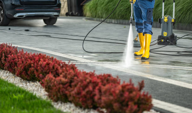 Best Roof Pressure Washing  in Danbury, TX